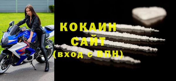 стаф Аркадак