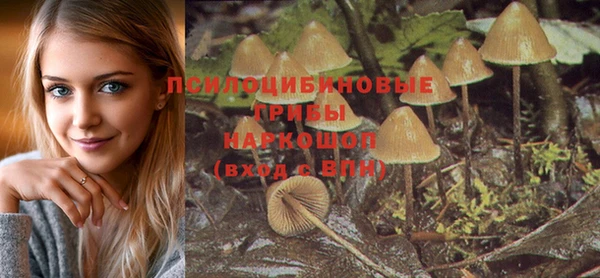 винт Баксан