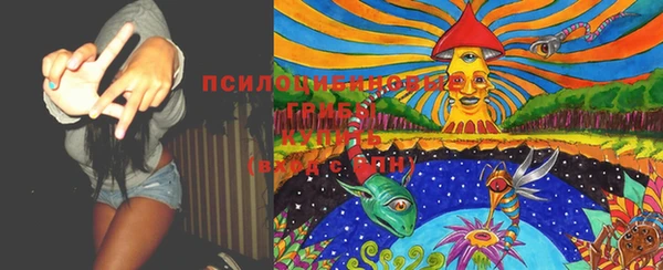 стаф Аркадак