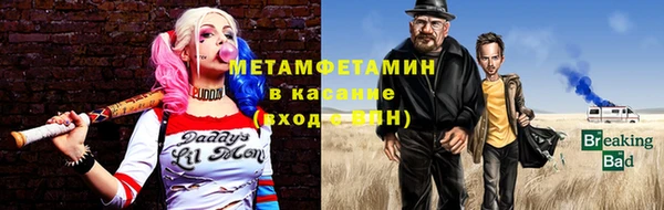 стаф Аркадак