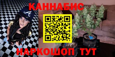твердый Камышлов