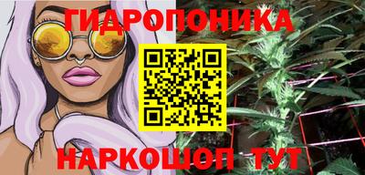 твердый Камышлов