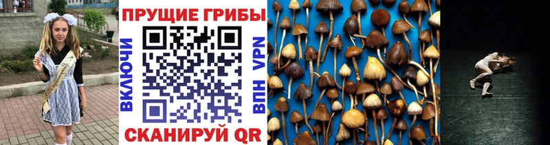 Псилоцибиновые грибы ЛСД  Спасск-Дальний 