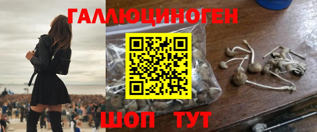Псилоцибиновые грибы Psilocybine cubensis  Галлюциногенные грибы GOLDEN TEACHER  Вход с VPN  Спасск-Дальний 